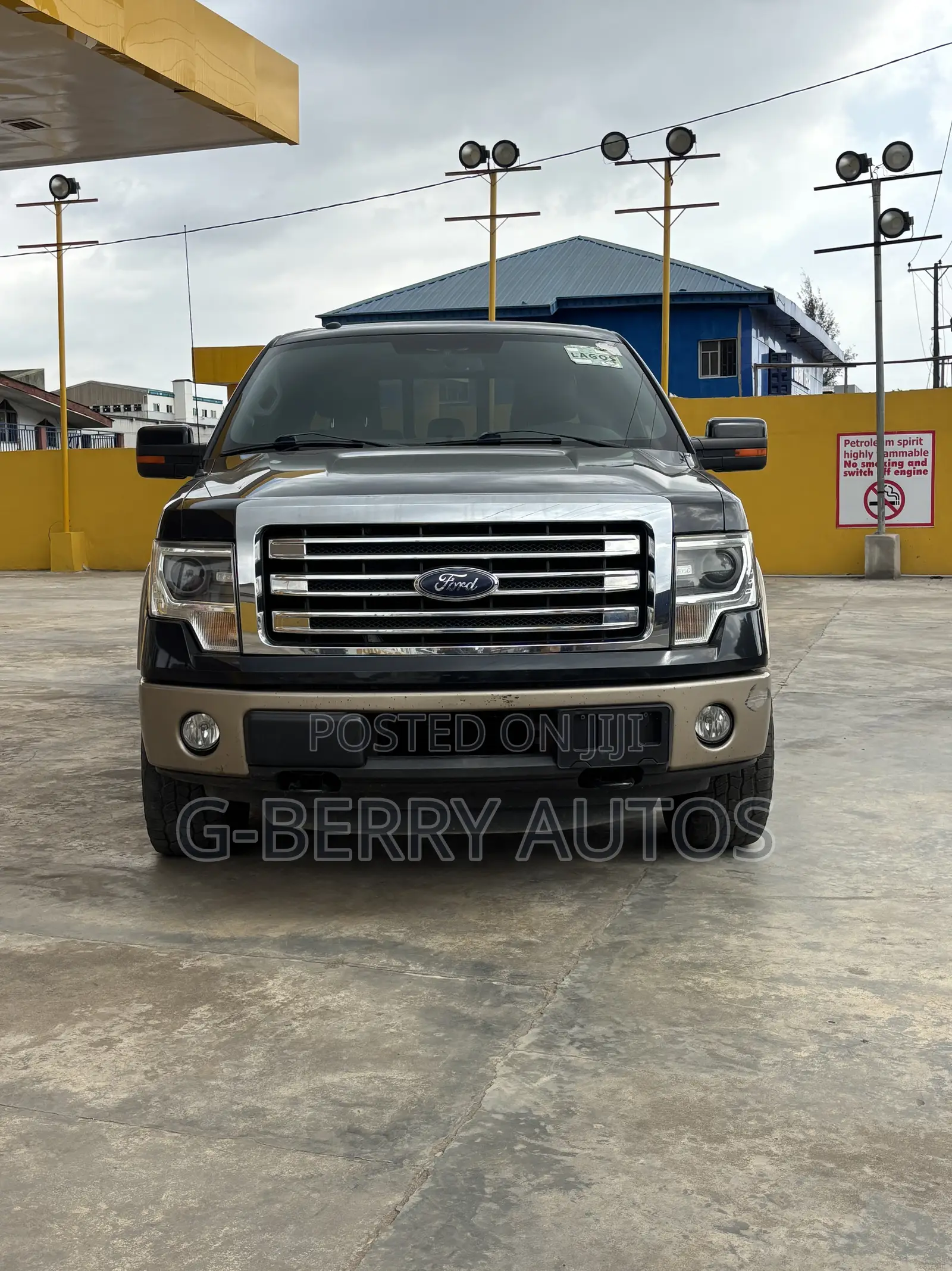 Ford F-150 2013 Green