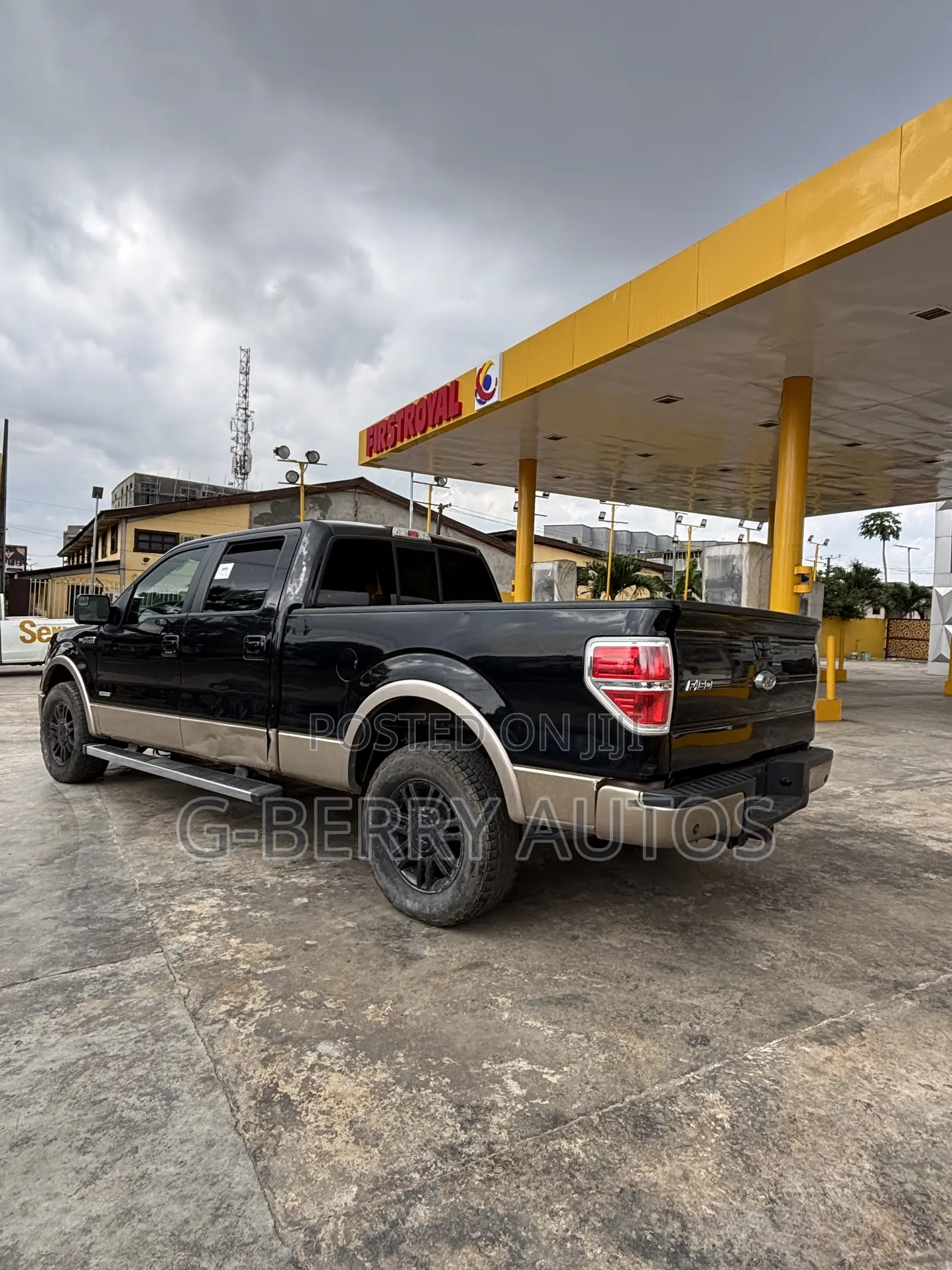 Ford F-150 2013 Green