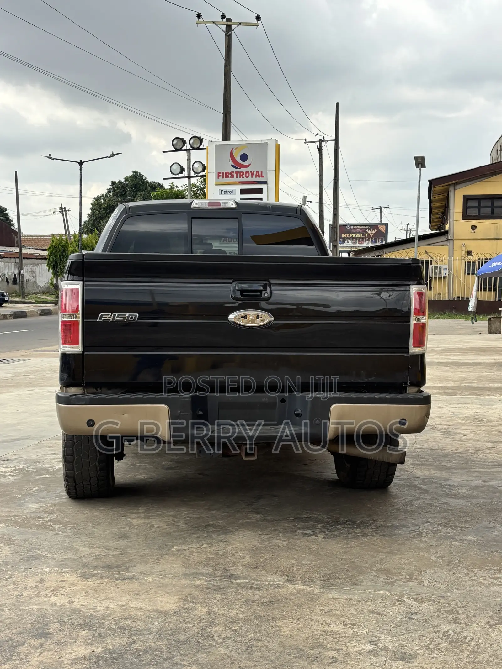 Ford F-150 2013 Green