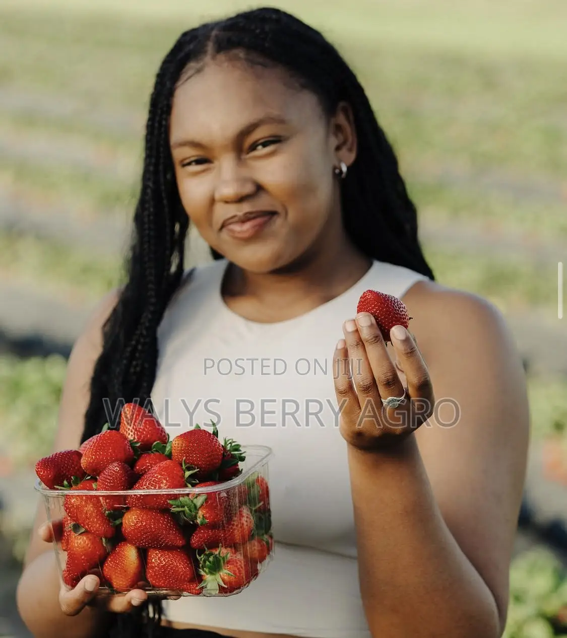 Strawberry
