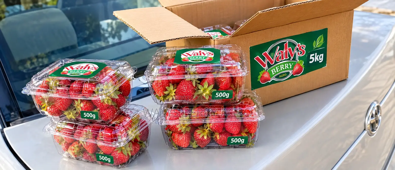 Strawberry
