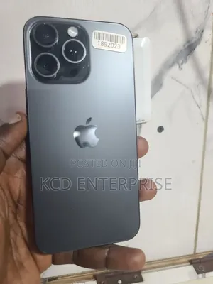 Apple iPhone 15 Pro Max 256 GB Gray