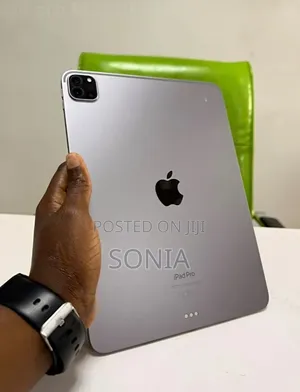 Apple iPad Pro (2022) 256 GB Gray