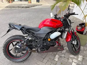 Kawasaki Ninja 300 2012 Red