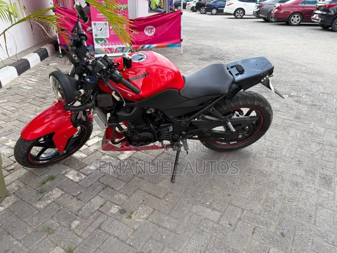 Kawasaki Ninja 300 2012 Red