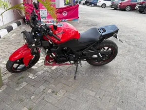 Kawasaki Ninja 300 2012 Red