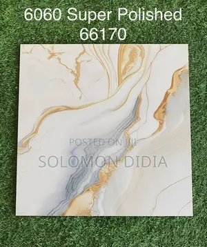 Goodwill 60*60 Super Polish