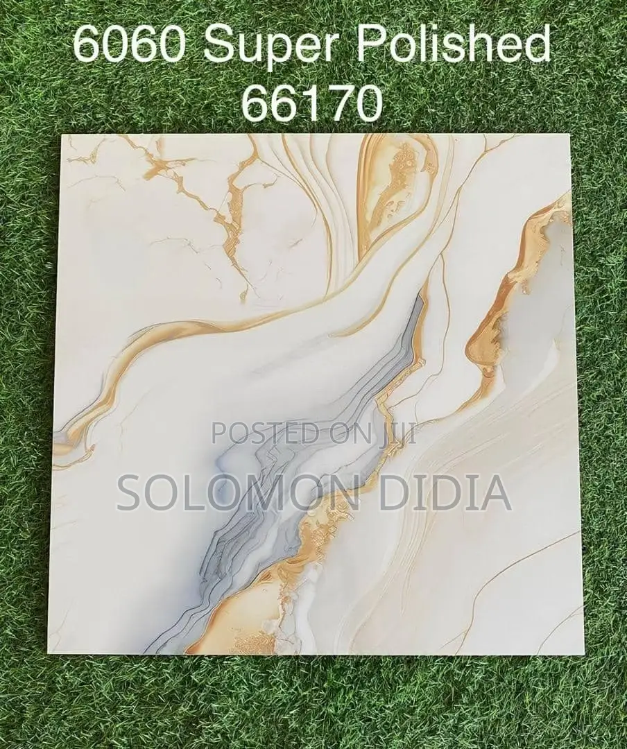 Goodwill 60*60 Super Polish