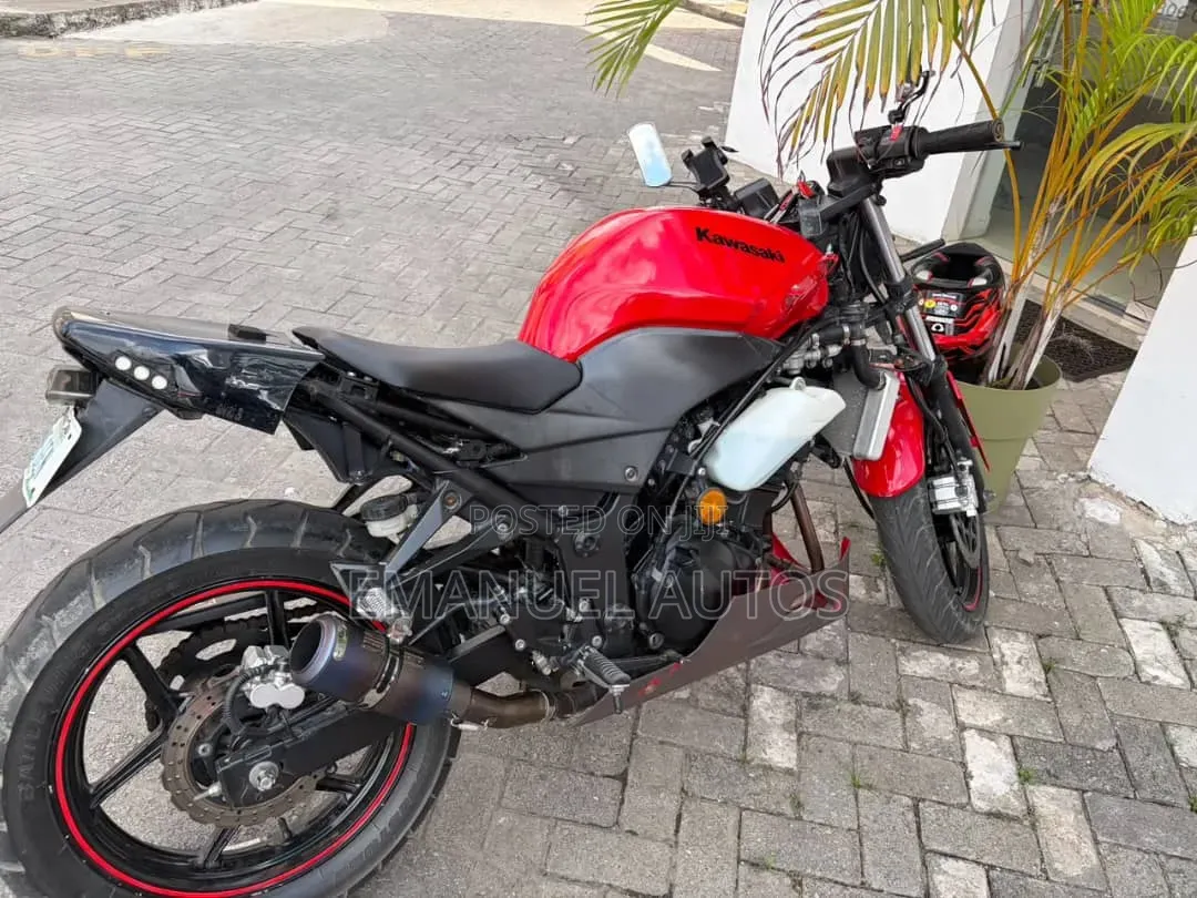 Kawasaki Ninja 300 2012 Red