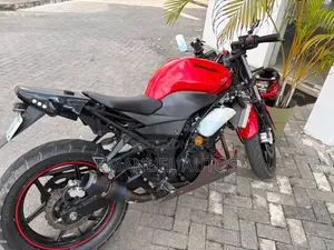 Kawasaki Ninja 300 2012 Red