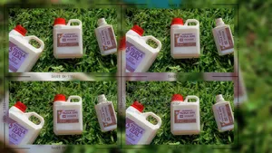 Germicide and Disinfectant