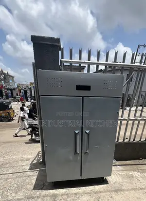 Double Door Freezer
