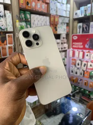 Apple iPhone 15 Pro Max 256 GB Gray