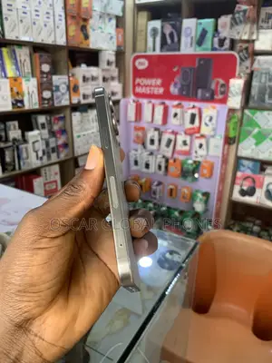 Apple iPhone 15 Pro Max 256 GB Gray