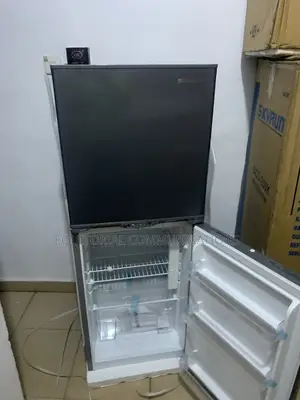 Skyrun 195L BCD-195HS Refrigerator With Spacious Interior