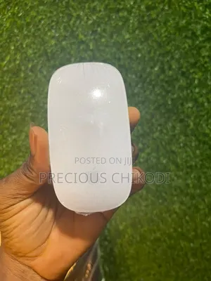 Apple Magic Bluetooth and Wireless Mouse