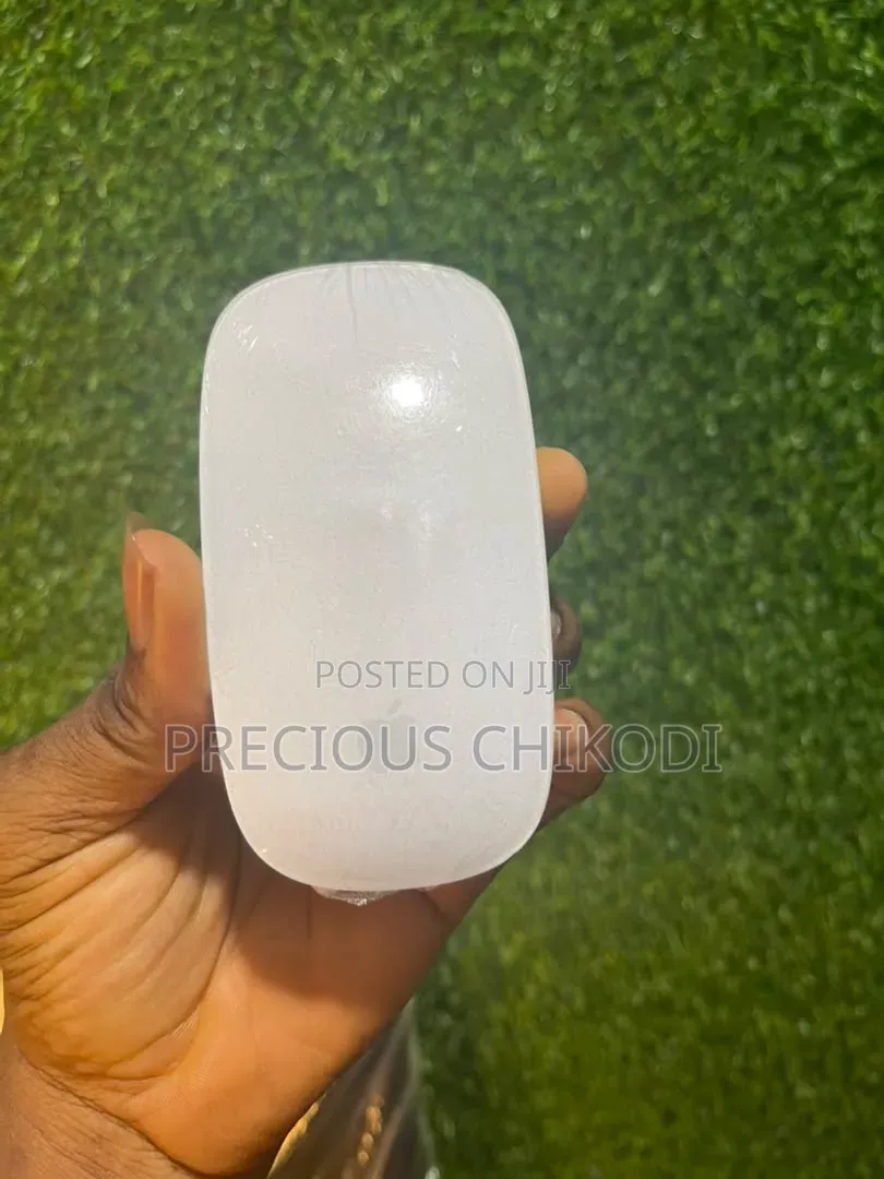 Apple Magic Bluetooth and Wireless Mouse