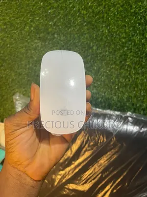 Apple Magic Bluetooth and Wireless Mouse