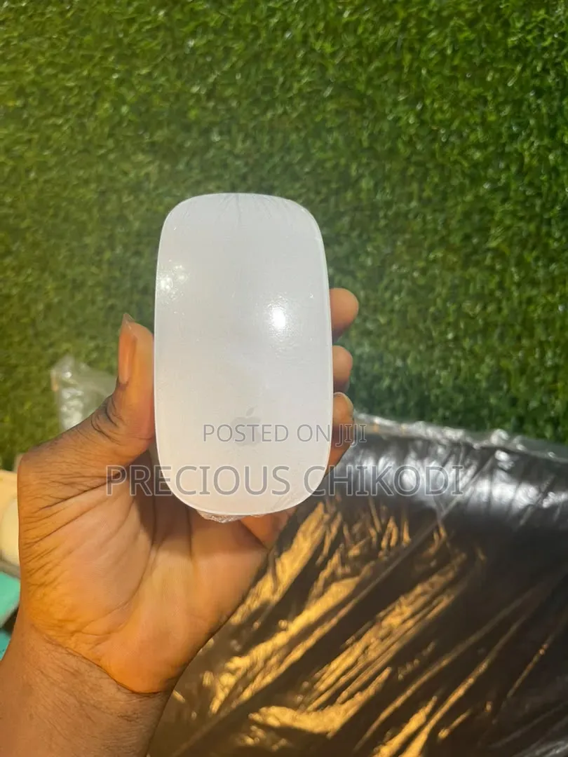 Apple Magic Bluetooth and Wireless Mouse