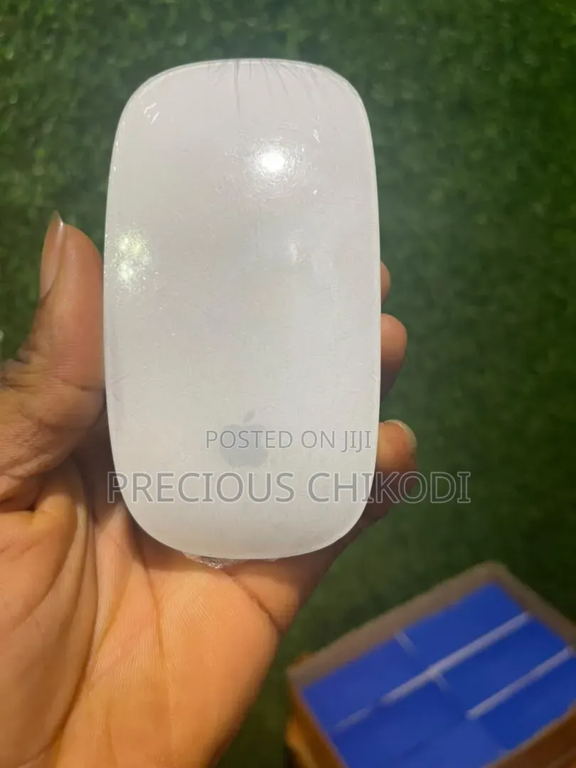 Apple Magic Bluetooth and Wireless Mouse