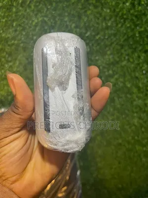 Apple Magic Bluetooth and Wireless Mouse