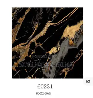 Best Will Super Polish 60*60