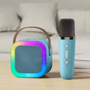 Portable Koroke Mic