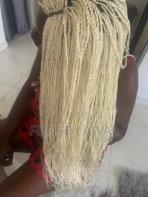 Braided Wigs