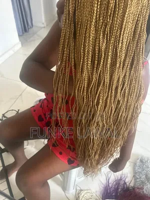 Braided Wigs
