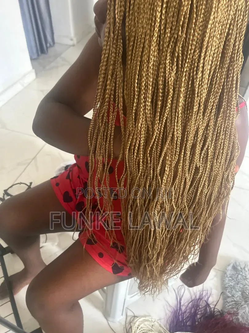 Braided Wigs