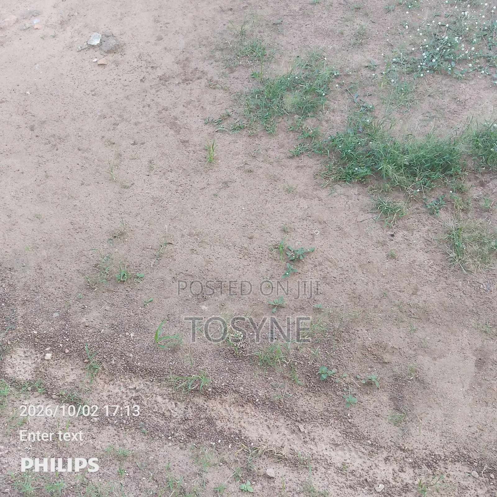 A Plot of Land