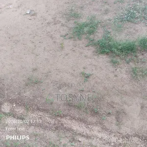 A Plot of Land
