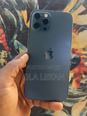 Apple iPhone 12 Pro Max 256 GB Blue