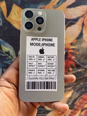 Apple iPhone 15 Pro Max 256 GB Silver