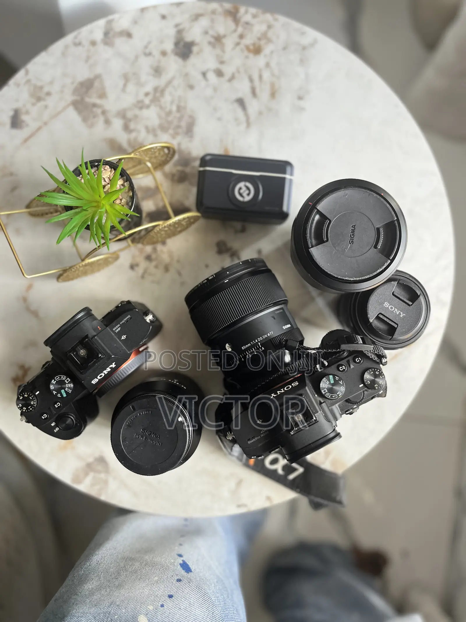 Camera and Light Rental