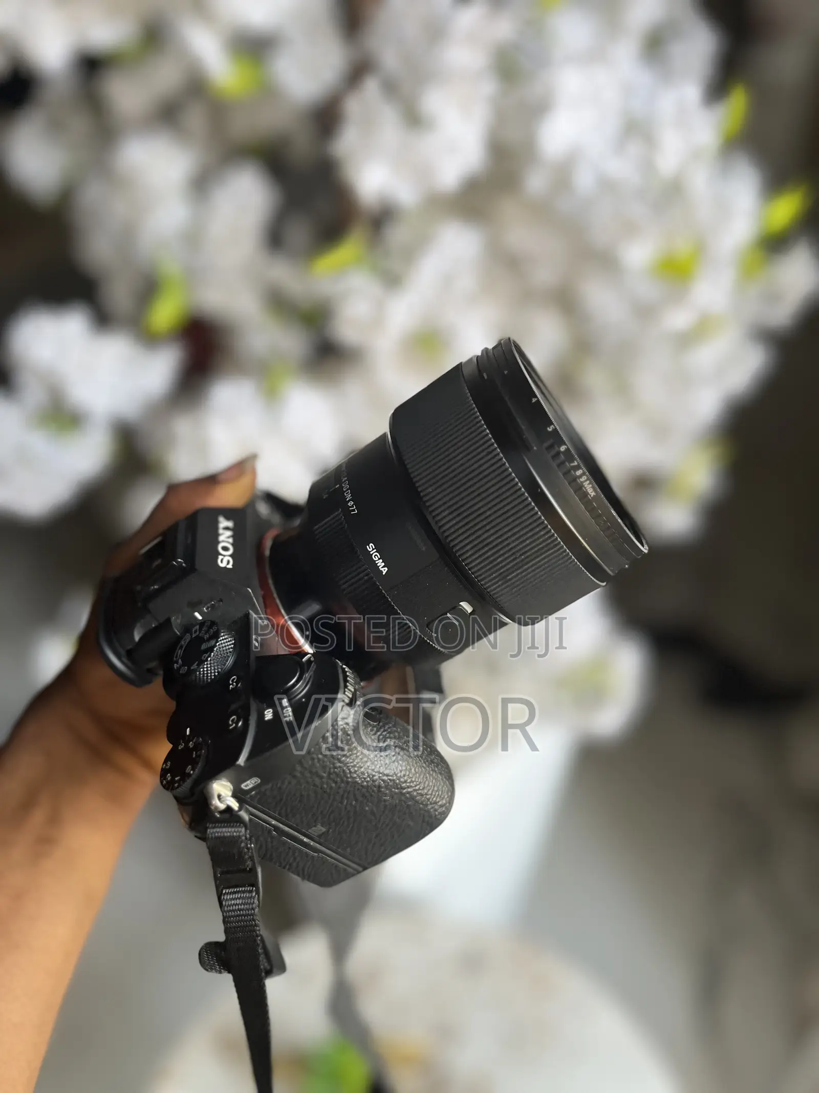Camera and Light Rental