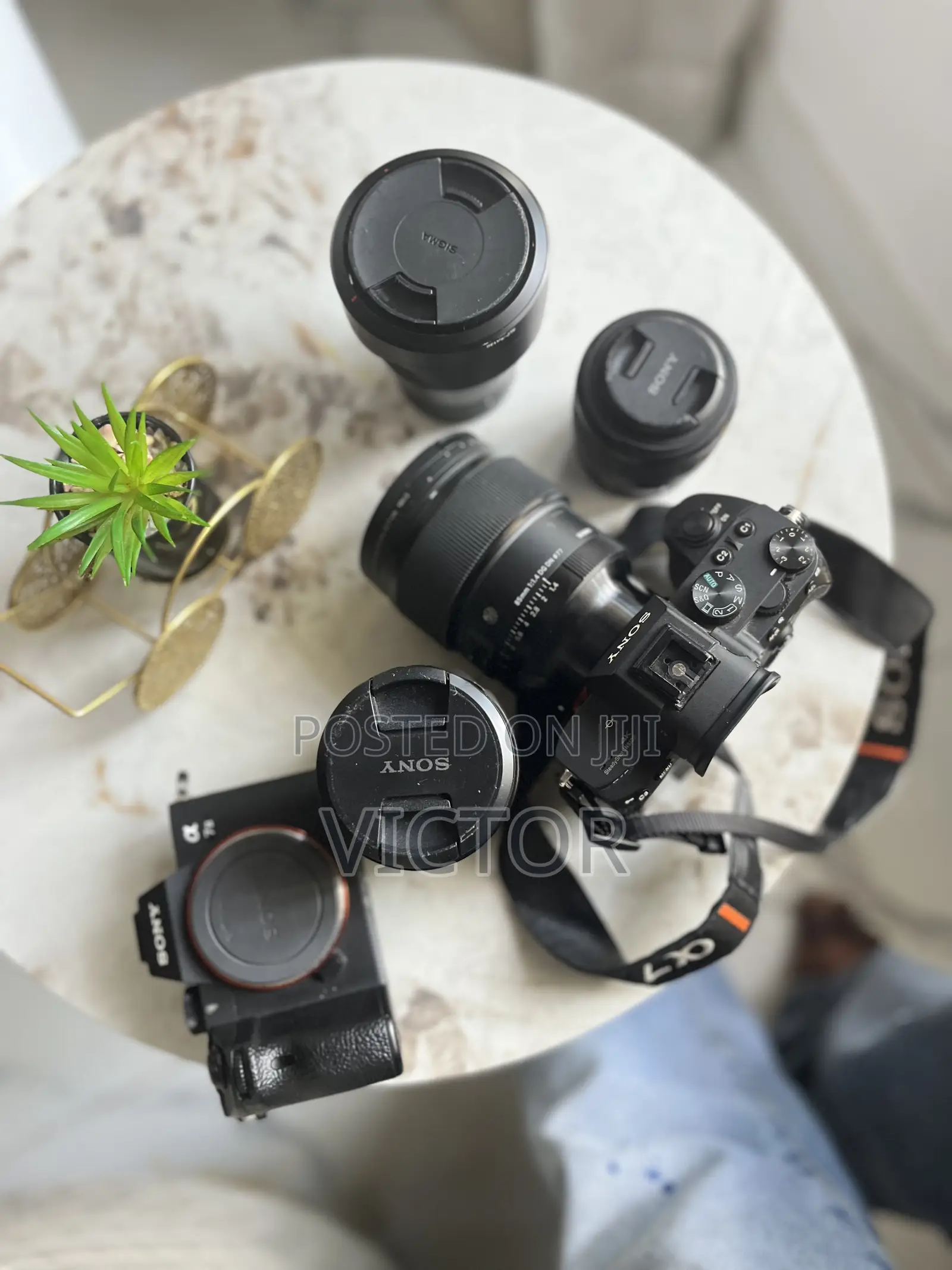 Camera and Light Rental