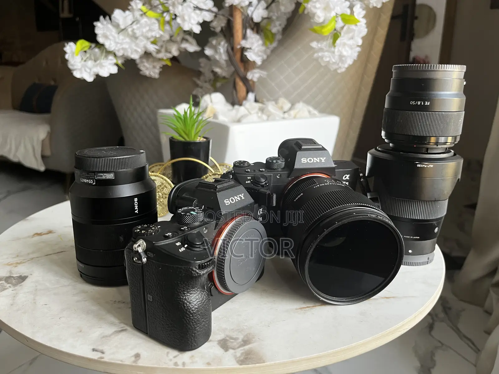 Camera and Light Rental