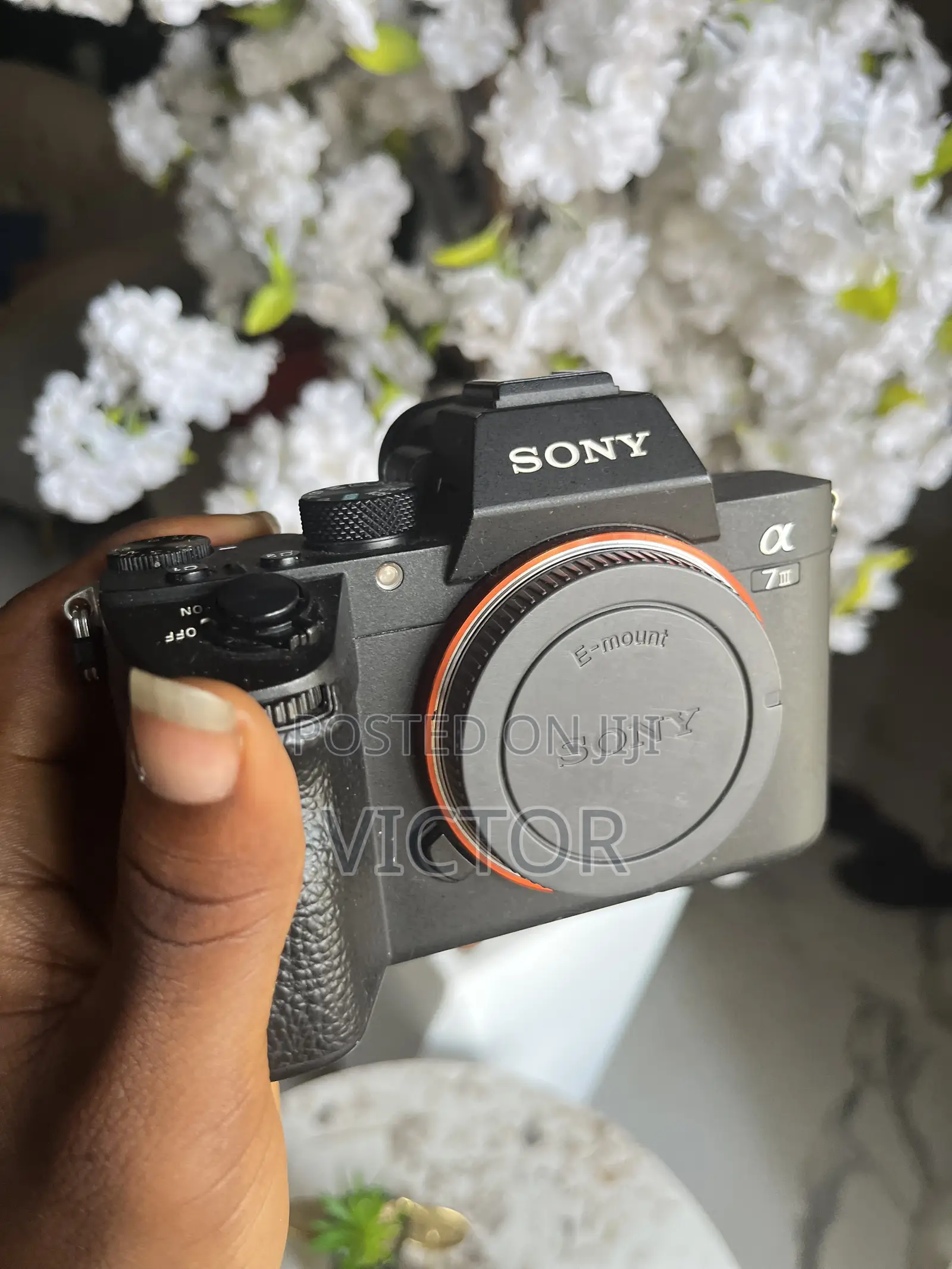 Camera and Light Rental