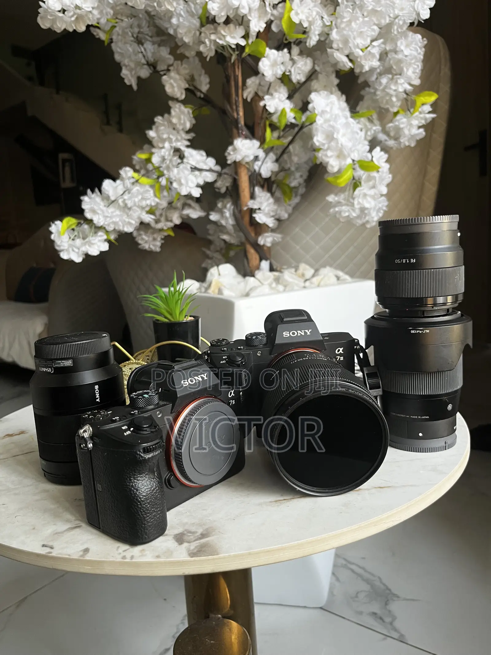 Camera and Light Rental