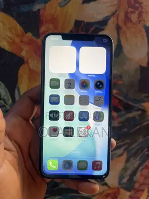 Apple iPhone 11 Pro Max 64 GB Gray