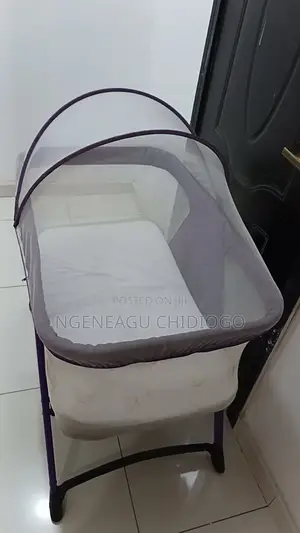 Premium Breathable Mesh Bassinet With Canopy & Netting