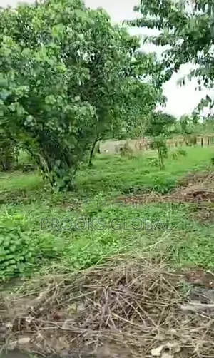 A Flat Land of 100/100 Egbo, After Otokutu for Sale
