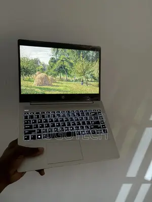 Laptop HP ProBook 445 G7 8GB AMD Ryzen 5 SSD 256GB