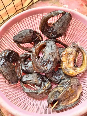 Dry Catfish