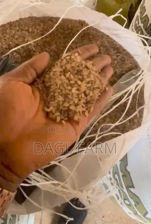 Destoned Ofada Rice