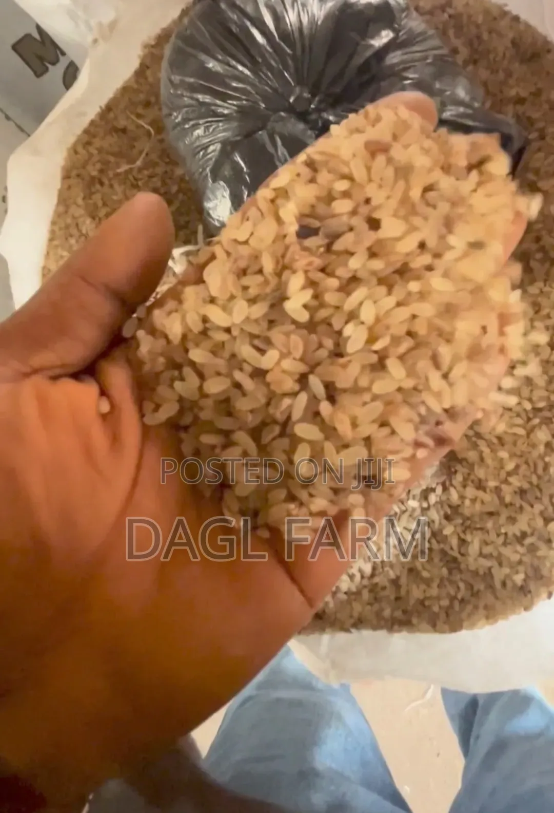 Destoned Ofada Rice