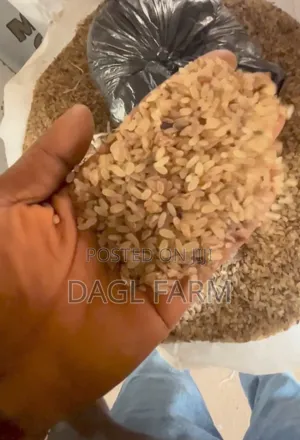 Destoned Ofada Rice