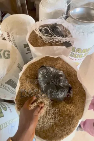 Destoned Ofada Rice