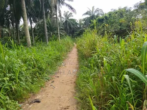 Land for Sale in Abraka Delta State